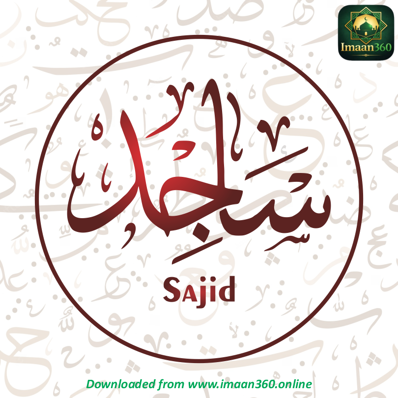 Sajid